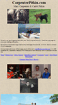 Mobile Screenshot of carpenterpitkin.com